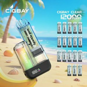 CigBay 1003 Refillable Vape
