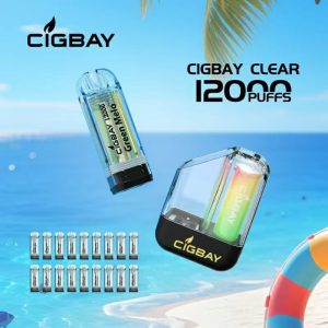 CigBay 1003 Refillable Vape